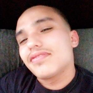 Meet your Posher, Teddy